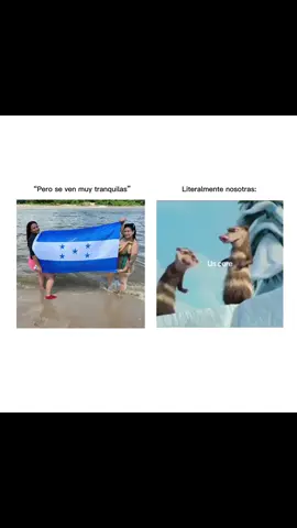 #miamistad #viral #fypシ゚ #parati 