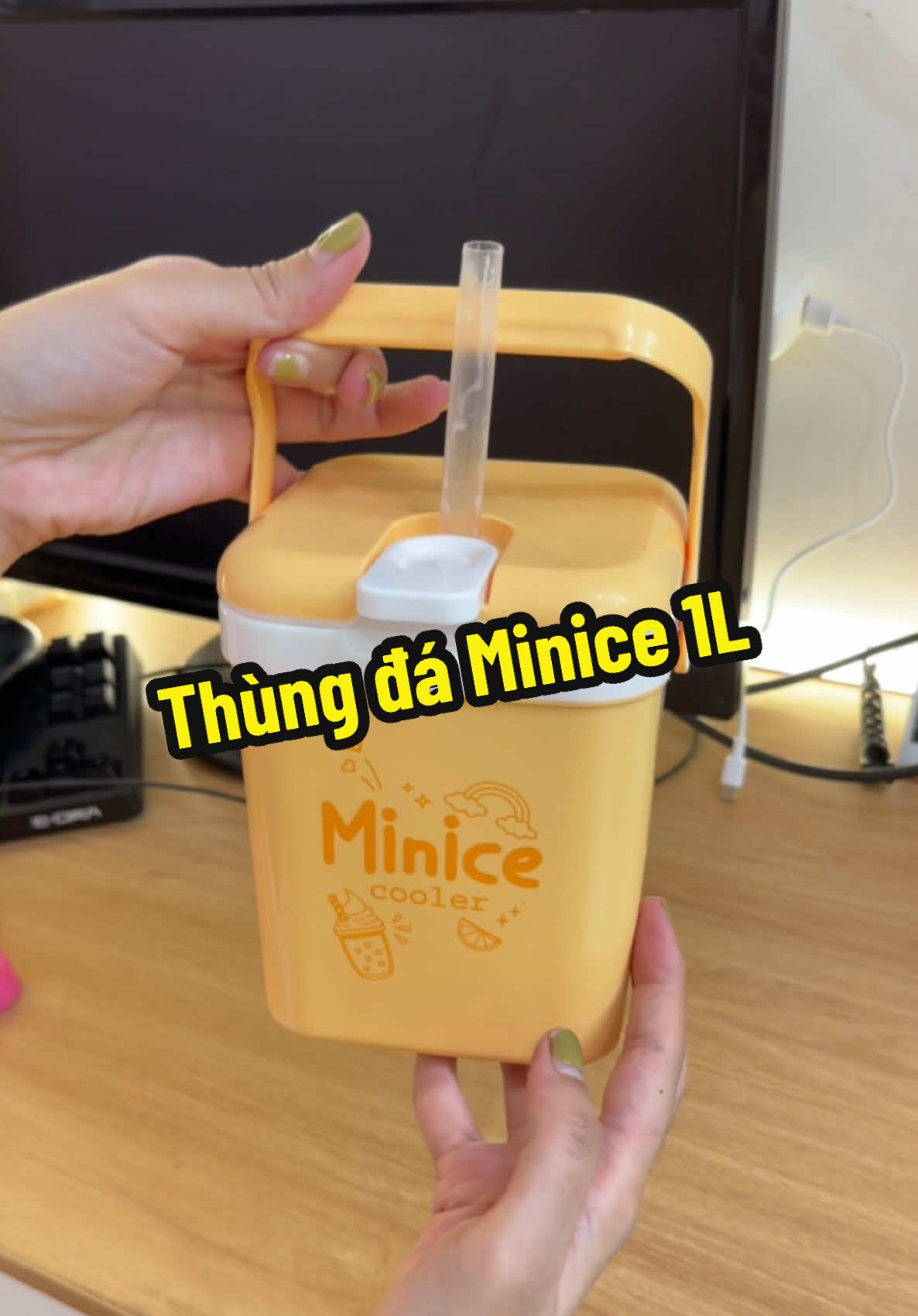Thùng đá Minice đựng nước tiện lợi dễ thương quá trời