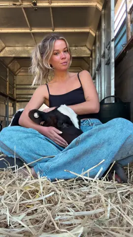 Sometimes you just need to cuddle a  baby cow 🐮 #fyp #viral #cow #calf #foryou #cute #farm #animal #rescue #vegan 