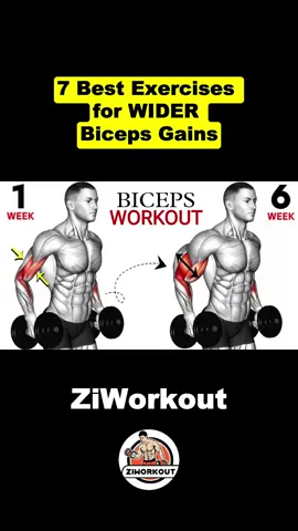 7 Best Exercises for WIDER Biceps Gains! #biceps #triceps #armworkout #workout #homeworkout #Fitness #exercises 