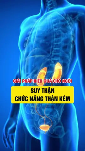 Giải pháp hiệu quả cho người suy thận, chức năng thận kém #suythan #chaythan #thanyeu #thansuyyeu #songkhoe247 #tieubot #tieudem #tieudemnhieu #daulung #tieubotlautan #tieurat #ichthanvuong #ichthanvuongplatinum