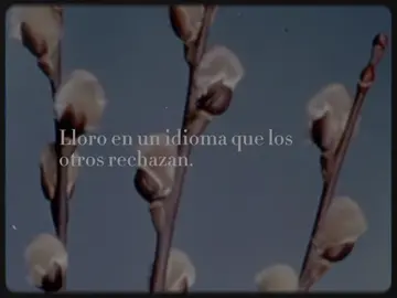 Escrito por mí. #poesia #alejandrapizarnik #ideavilariño #literatura #fyp #paratii 