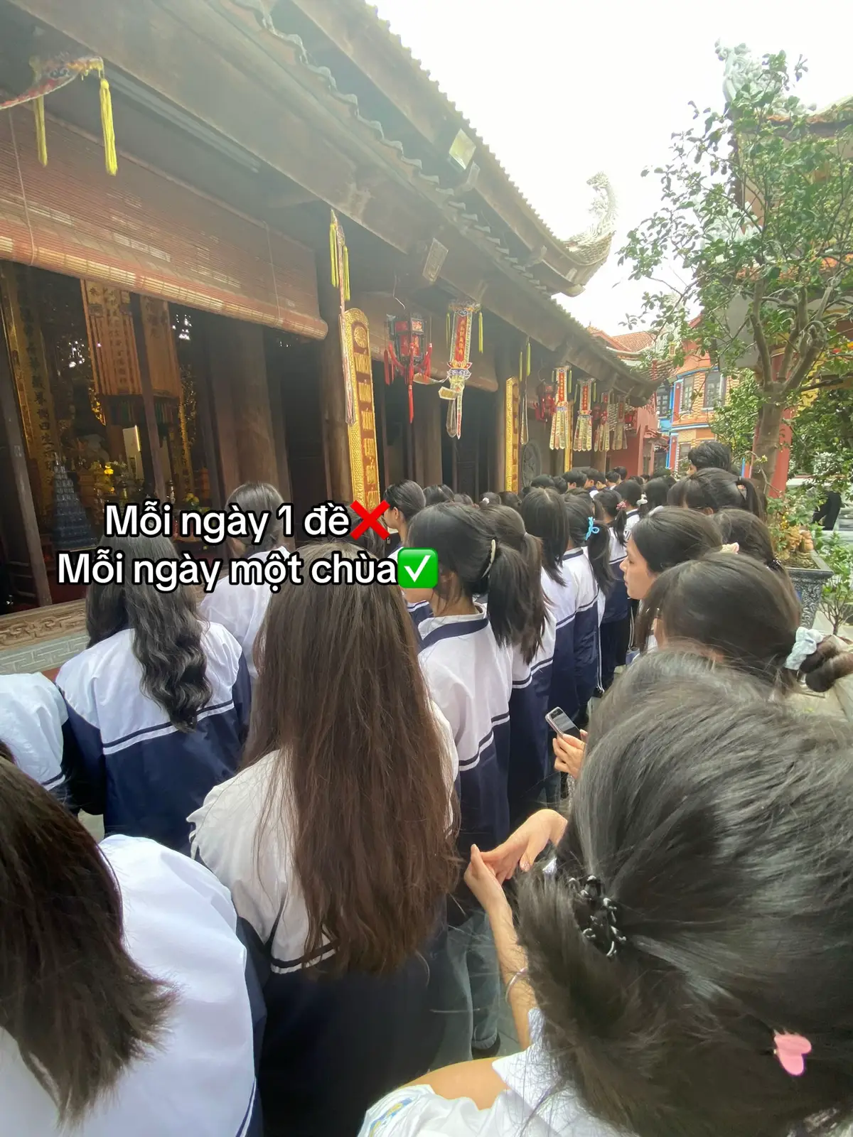 Cuộc chiến giữa các tiên gia☺️