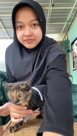 tidak mood 