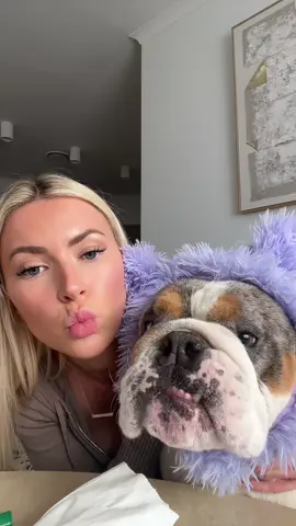 Bulldog maintenance 