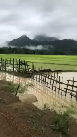 Lào ở thì chán 😞mà về thì tiếc 🇱🇦#Lào #🇱🇦 #vairal #you #tiktok #xuhuongtiktok2024 