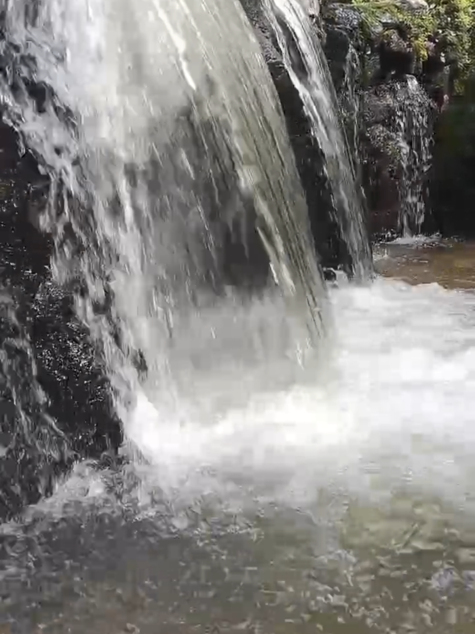 baru tau kt pendang pn ada air terjun cantik..dok kedah berpuluh tahun tp baru tau 😅 #sgrambaikedah #pendang #sungairambaipendang #kedah #airterjun #berkelah 