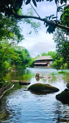 Cảnh tựa như tranh🌱 #suoitranhphuquoc #phuquoc #dulich #fyp 