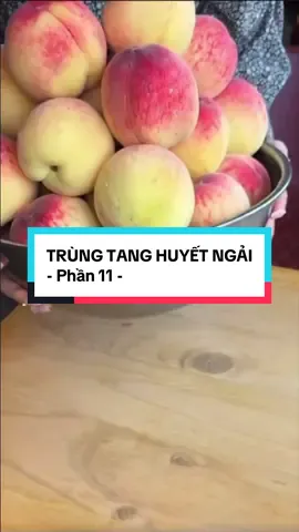 TRÙNG TANG HUYẾT NGẢI| Phần 11| Cre: CHUYỆN MA CHÚ BA DUY #tamlinh #chuyenma #chuyentamlinh #ghoststories #kechuyen #nauan #trending 