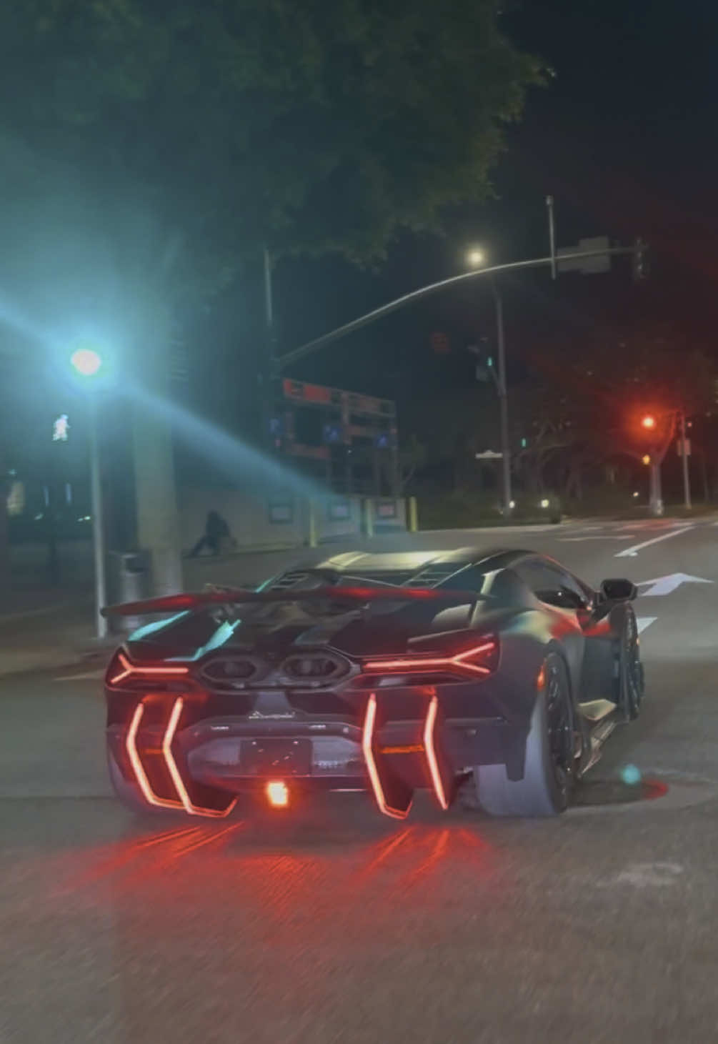 🦇 