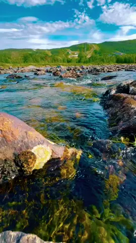 #Norway🇳🇴 24. jun 2025 Xaliimo Khaliif Magool AUN