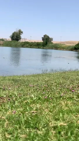 #حزيــــــــــــــــن #اعادة_النشر🔃 #الشعب_الصيني_ماله_حل😂😂 #ليك______🖤___متابعه____اكسبلووور 