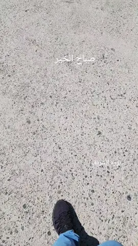 🌹صباحكم سعاده  وراحة بال  🌹