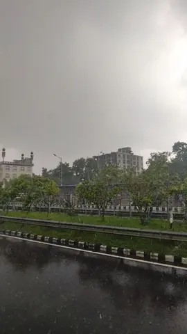 #foryou #tiktok #follow #viralvideo #faniy_video #frypgシ #fyp #sony10mark4 #phonecamera 