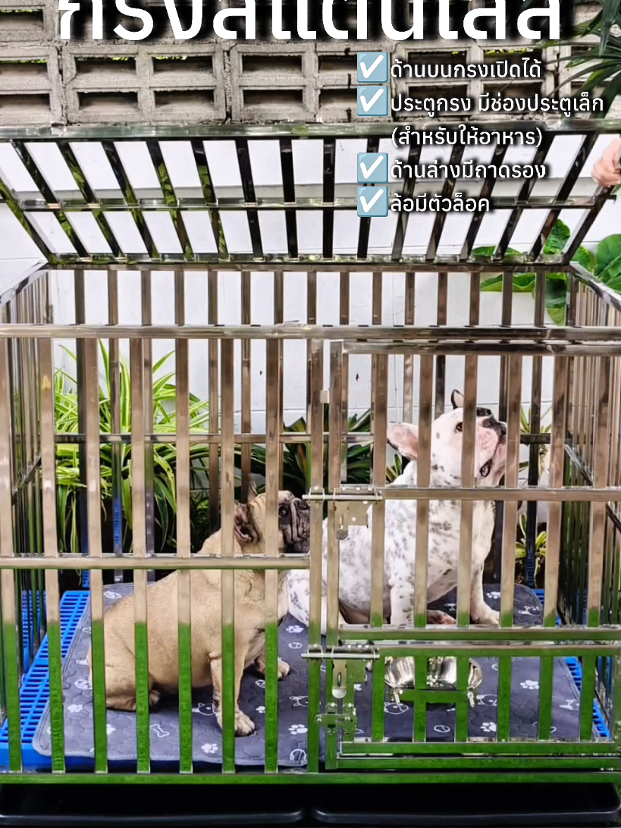 🐶กรงสุนัขสแตนเลส กรงสแตนเลส กรงสุนัข กรงหมา🐕✨ #กรงสุนัขสแตนเลส #กรงสุนัข #กรงสุนัขสแตนเลส #กรงสุนัขแข็งแรง #กรงสุนัขทุกขนาด #กรงสุนัขพับได้ #กรงสแตนเลส #กรงสแตนเลสเกรด304 #กรงสแตนเลสพับได้ #กรงหมา #กรงหมาใหญ่ #กรงหมาแมวพับได้ #กรงหมาสแตนเลส กรงหมา