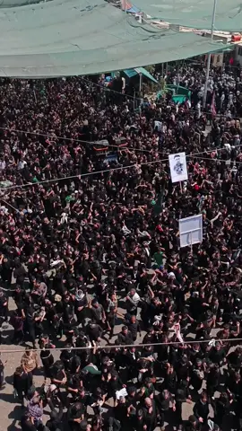 #مجتبى_الكعبي في كربلاء 