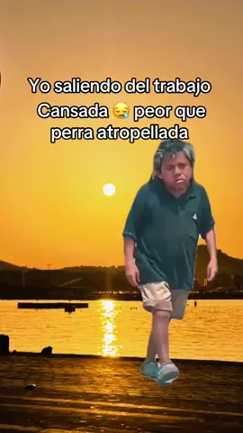 #MemeCut #MemeCut #MemeCut #Meme #MemeCut 
