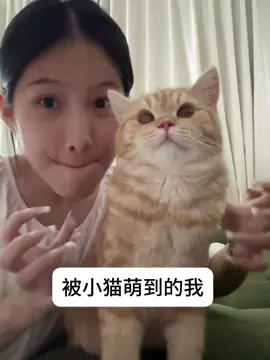 吸貓日常#cat #kitty #cutecat #cutecat #catsoftiktok 