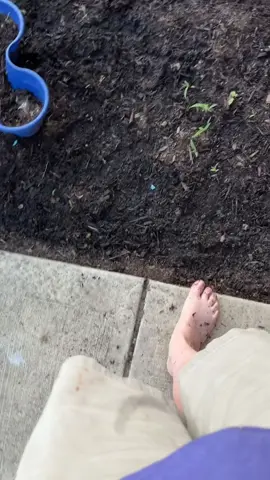 “It can help: ✨ reduce stress ✨ improve sleep ✨ lower inflammation ✨ boost your mood ✨ balance your nervous system” “The Earth’s lowkey charging you up. 🔋🌍” “You don’t need a therapist — sometimes you just need some dirt under your toes.” “Staddy tip: 10 minutes barefoot outside a day can change your whole nervous system.”. 🧘🏽‍♂️💨 #Tatcha #StepStaddyLife #ZaddyWithTheTitties #fyp #fypツ #fypツ #lgbt🌈 #nonbinarypride #nonbinarytiktok #nonbinarylesbian #staddysoftiktok😛 #happilymarried #stepstaddyto2🌈 #zaddy #teamwork #GroundedNotLost #grounded #groundedwiththeearth 