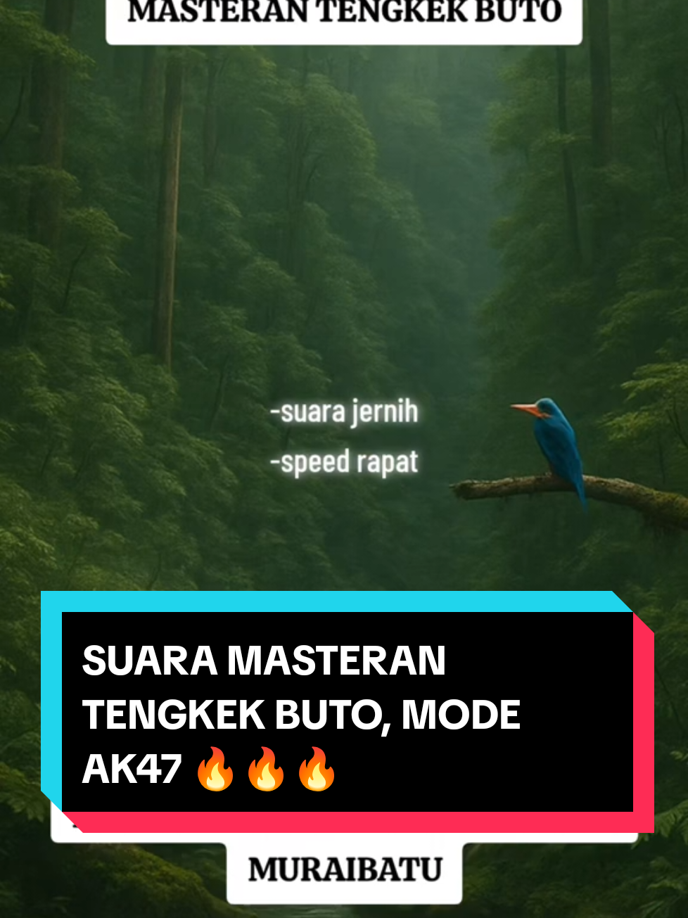MASTERAN SUPER MEWAH TENGKEK BUTO GACOR DOR... #masteranmuraibatu #masteran #tengkekbuto #gacorrr🔥 