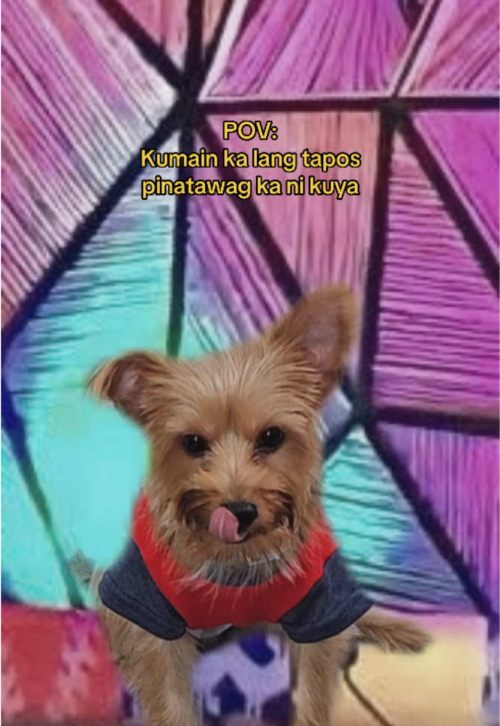 Nag-aagawan sa Goodest? Evict ka muna sa kabila 🤭🐾  #AffordaGoodestNutrition  #GoodestPH @Jaycy Chua 