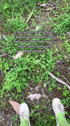 #petanimudaindonesia🇮🇩#petanimuda#kakao#45 