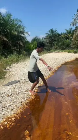 Looking for gold and panning for gold buried in river walls #goldhunter #mininggold #goldpanning #golddiscovery #viralvideo #foryou #foryoupage 
