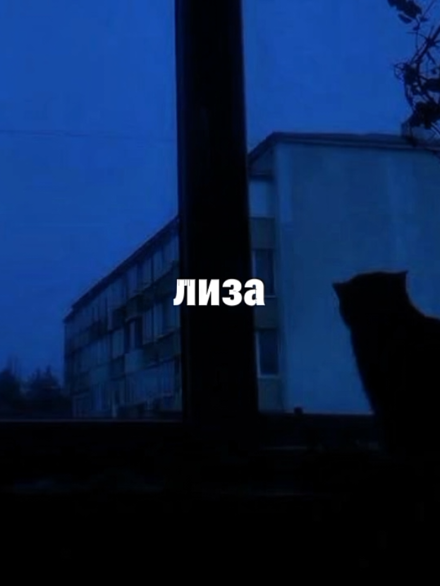#песня #текстпесни #fyp #рек #лизаялишьхочупризнаватьсятебе #чтоясдетствавлюблендатьтеплобатарей #холодосенислизойзаменимвесной 