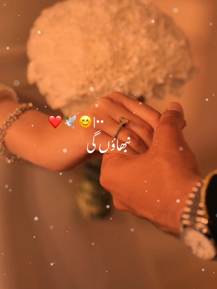 dear TikTok team please don't under review my video 🙏🙏🙏
