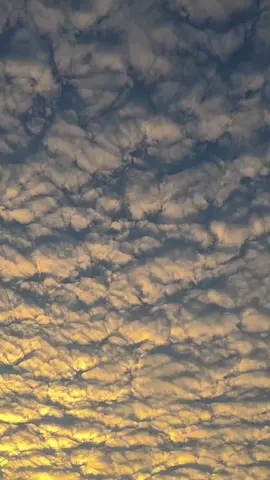 أنت أجمل هدية من السماء 