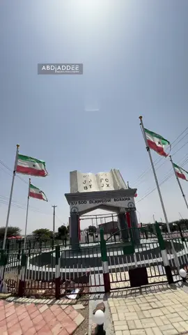Reer borama   Qalbigad ku talan #abdiaddee #borama 