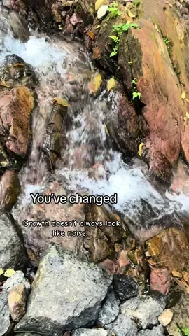 Save this for the days you forget how far you’ve come 🌿 . #youvechanged #innerpeace #naturevibes🌿 #aesthetictok #levelup #growthtiktok 