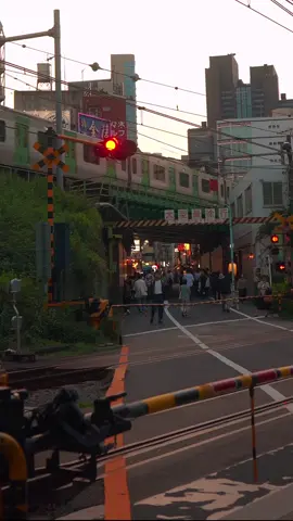 Chỉ là một buổi chiều bình thường ở Tokyo… đèn đỏ, tiếng chuông, và những chiếc xe đạp dừng lại chờ đoàn tàu đi qua 🚦🚉 Cảm giác như thời gian cũng dừng lại một chút… #tok#tokyolifep#japanvibesk#tokyostreet #日常待#電車待ちp#japantripp#japanphotographyk#tokyochillr#streetmoment旅#日本旅行k#tokyodiaries #vibechill 