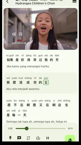 lagu nya nyentu banget❤️ #bahasamandarin #belajarbahasachina #belajarbahasamandarin #lagu #ruyuan #fyp #miraa 