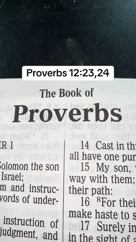 📖the hand of the diligent📖#Jesus #ScriptureReading #Christ #Messiah #Gospel #Joy #LordOfLords #Grace #Mercy #Word #Truth #Bible #Scripture #Worship #ForYourPage #ForYou #FYP #Christian #Prayer #christiantiktok #Praise #Wisdom #Knowledge #Understanding #Face #Love #God #Peace #Hope