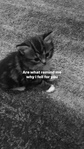 #thoseeyes #lyrics #fyp 