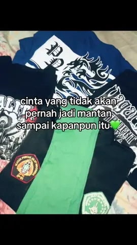 🥰💚#pagarnusa86 #pagarnusakaranganyar #pagarnusa86💚🔱 #fouryou #foyoupage 