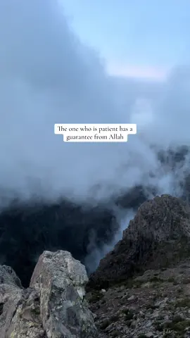 The one who is patient has a guarantee from Allah #viralvideos #quran #muslim #islamic_video #muslimtiktok 