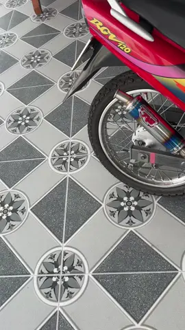 lon pô tăng xipo cho anh đam mê 