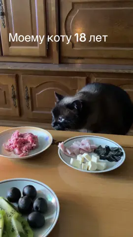 Коту 18 лет