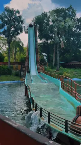 We loved Busch Garden’s! Minus the heat lol #buschgardens #florida #tampa #clearwater #fyp #foryou 