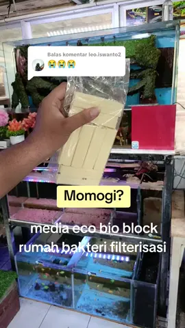 Membalas @leo.iswanto2bio eco rumah bakteri block momogi filterrisasi pembersih air akuarium yang di tempatkan di box filter #filteraquarium #filterakuarium #mediafilter #mediafilteraquarium #ecobio #momogiaquarium #rumahbakteri 