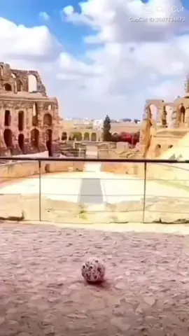 #fyp #viral #tiktok #duet #trending #viralvideo #Love #funny #dance #music #explorepage #challenge #comedy #LifeHack #fashion #beauty #memes #tutorial #Recipe #art #workout #motivation #relatable #cute #Lifestyle #Fitness #makeup #DIY #food #pets #travel #family #Vlog #foryou #LearnOnTikTok #tiktoktrend2025 #pridemonth #BookTok #GymTok #foodtiktok #CapCut 