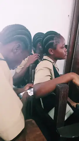 Serious students 😋 dog blue a blue