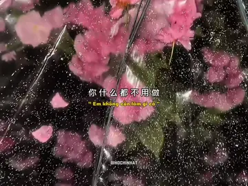 “ Anh đã gặp qua rất nhiều người nhưng chỉ muốn cùng em chầm chậm làm quen ” #fyp #nhachaymoingay #xuhuong #nhactrungquoc #music #晚风告白男版 