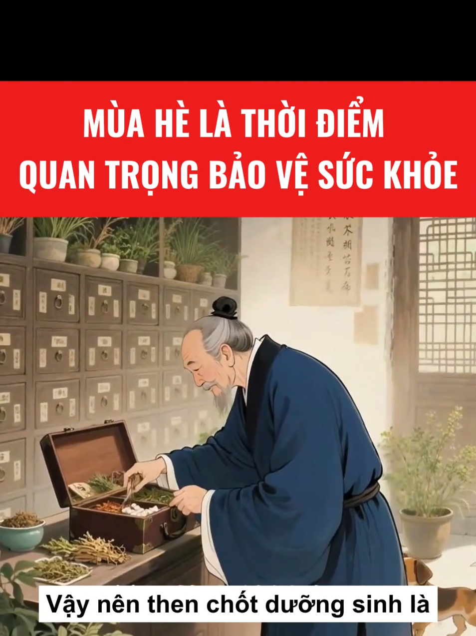 Mùa hè là thời điểm vàng để chăm sóc sức khỏe #loisonglanhmanh #suckhoe 