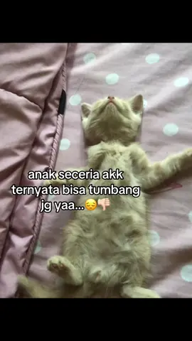 #fyppppppppppppppppppppppp #lewatberanda #beranda 