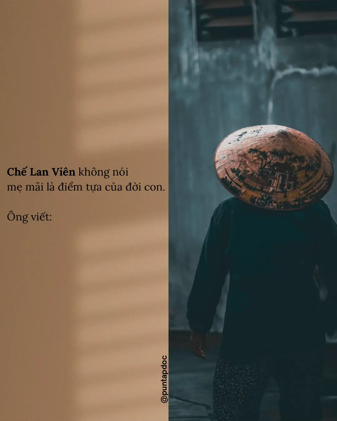 #BookTok #LearnOnTikTok #vantho #vanhoc #vanhocvietnam #trichdan #trichdanhay #tapdoc #fy #fyp #foryou #poetry #thơ #nhạc