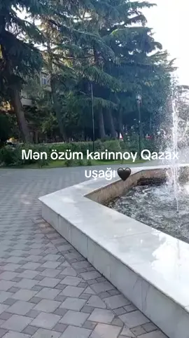 partadın getsin #qazax #qazaxlılarsəsedin #🖤