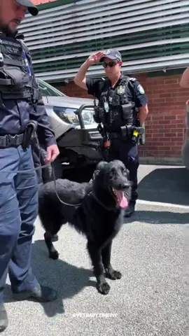 Retirement ceremony for the police dog #k9 #dog #honor #cute #fyp #heartbreak #policedog 